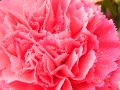 DSCN0679