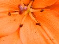 DSCN0680