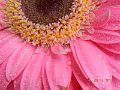 DSCN0682