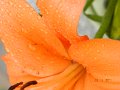 DSCN0691