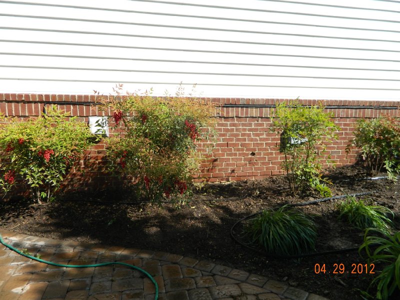 DSCN1759.JPG