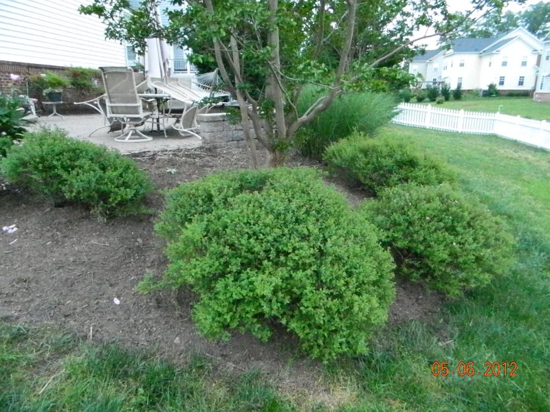 DSCN1866.JPG