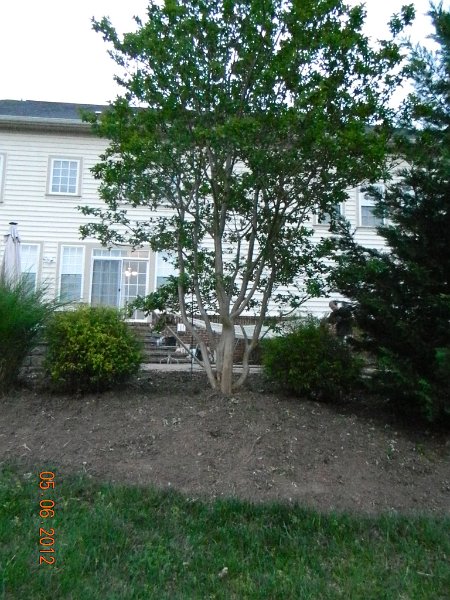 DSCN1872.JPG