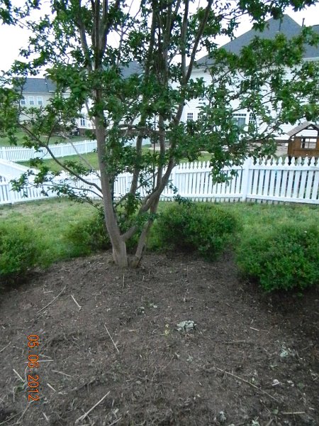 DSCN1878.JPG