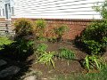 DSCN1764