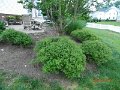 DSCN1866
