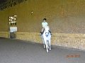 DSCN1787