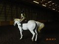 DSCN1831