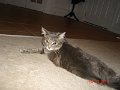 DSC05765