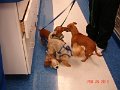 DSC05781