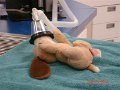 DSC05786