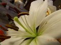 DSCN1645
