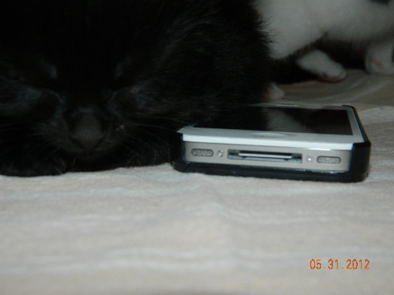 DSCN1970.JPG