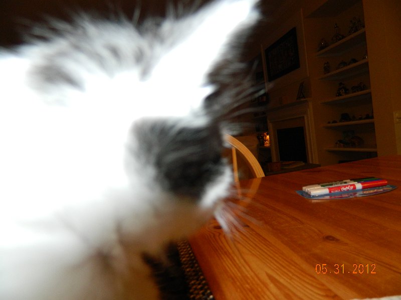 DSCN1986.JPG
