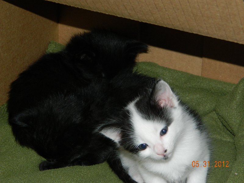 DSCN2003.JPG