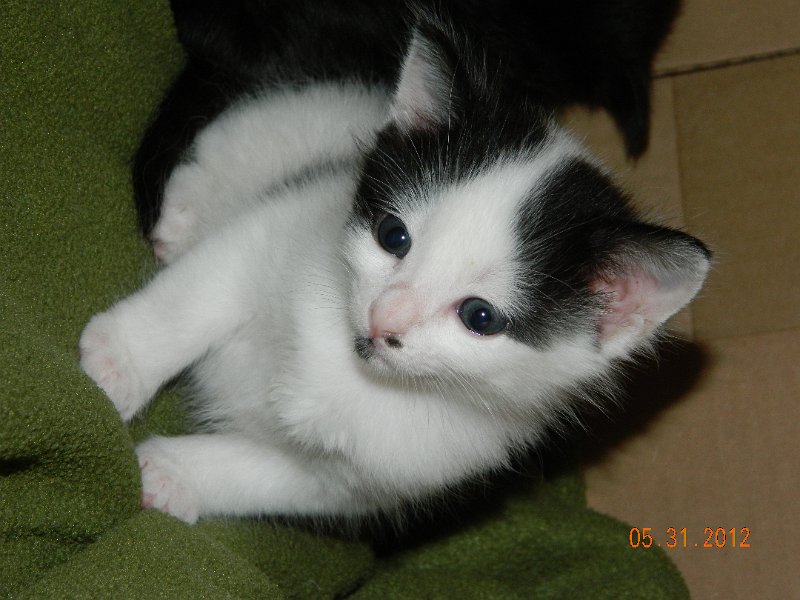 DSCN2005.JPG