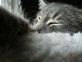DSCN1647