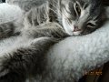 DSCN1649