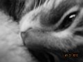 DSCN1652