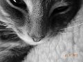 DSCN1654