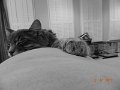 DSCN1666