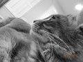 DSCN1667