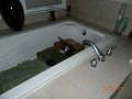 DSCN2008