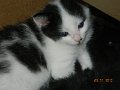 DSCN2010