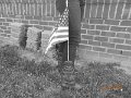 DSCN2973