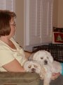 DSC00643