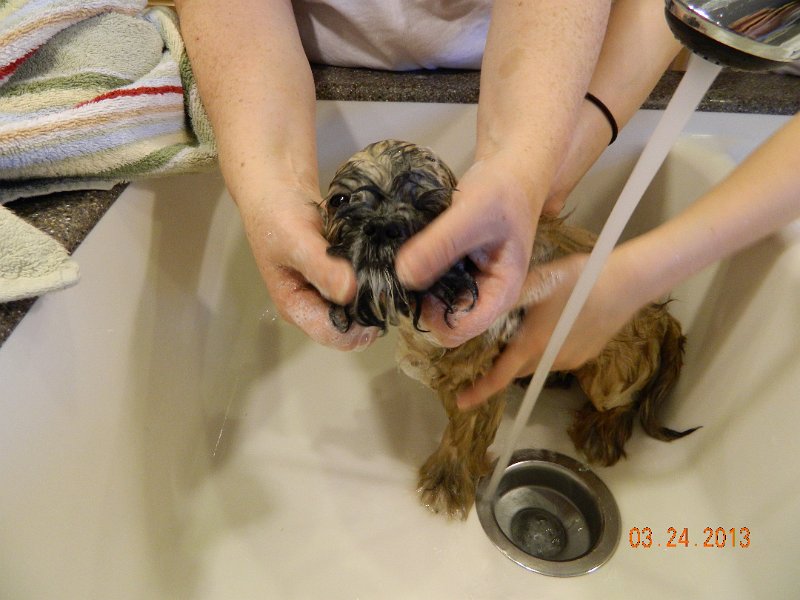 DSCN2890.JPG