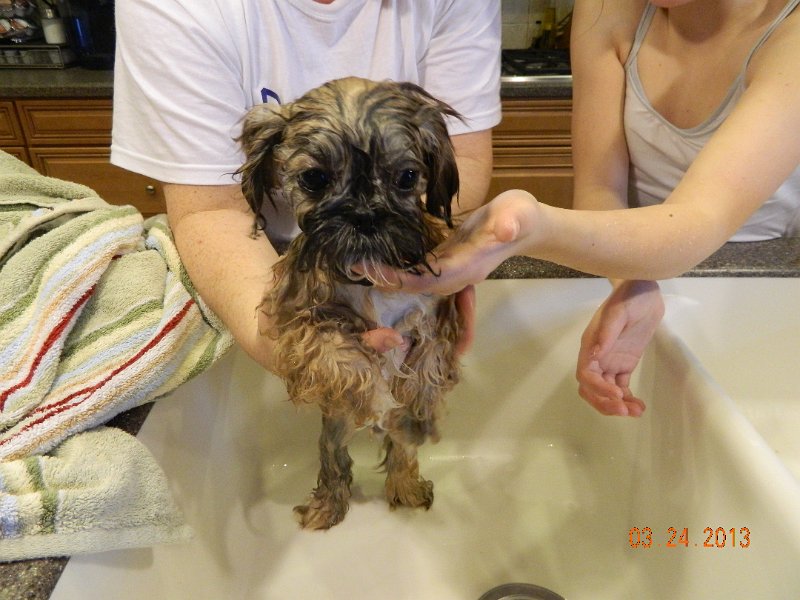 DSCN2896.JPG