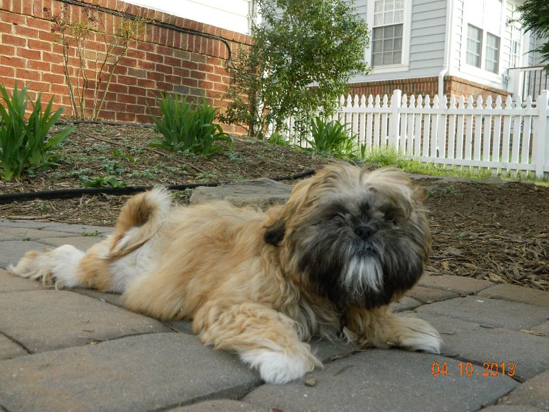 DSCN2913.JPG
