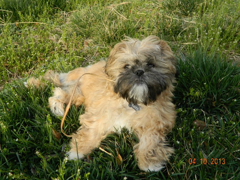 DSCN2920.JPG