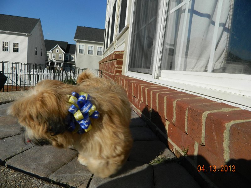 DSCN2939.JPG