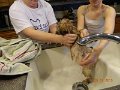 DSCN2875