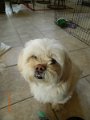 DSCN2907
