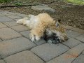 DSCN2915