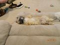 DSCN2976