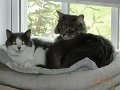 DSCN3052