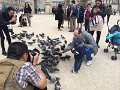 paris_0176