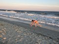 IMG_1924