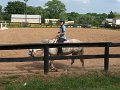 IMG_2801