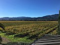 IMG_3158