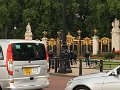 IMG_4186