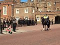 IMG_4252