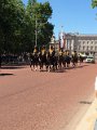 IMG_4259