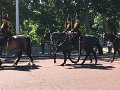 IMG_4265