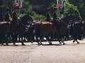 IMG_4283