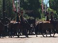 IMG_4284